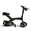 SEGROLL B10 350 Watt Folderble Electric Bike with 36V 6.0A Lithium Batteries, Front / Rear Disc Brake And 3-speed Regulation